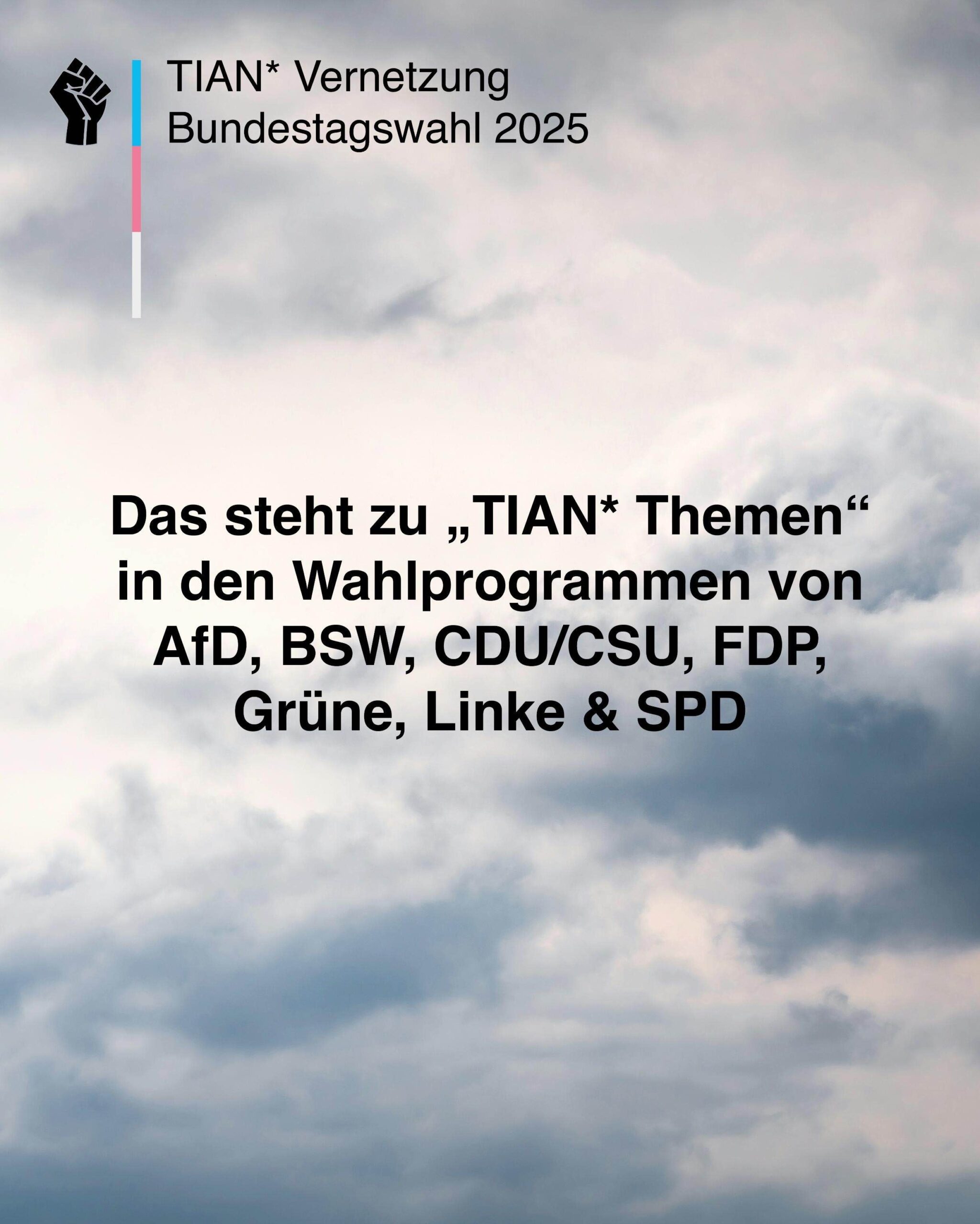 Bildbeschreibung: Das erste Bild zeigt Wolken im Hintergrund und die Aufschrift: TIAN* Vernetzung Bundestagswahl 2025. Daneben ist eine stilisierte schwarze geballte Faust und ein Strich in trans* Farben abgebildet. darunter steht: Das steht zu „TIAN* Themen" in den Wahlprogrammen von AfD, BSW, CDU/CSU, FDP, Grüne, Linke & SPD